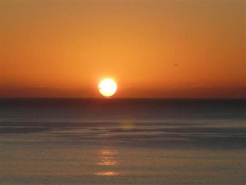 CABAÑA EN EL BOSQUE PARA RELAX TOTAl PLAYA VERDE (CABANA EN EL BOSQUE PARA RELAX TOTAl PLAYA VERDE) in Playa Verde