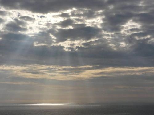 CABAÑA EN EL BOSQUE PARA RELAX TOTAl PLAYA VERDE (CABANA EN EL BOSQUE PARA RELAX TOTAl PLAYA VERDE) in Playa Verde