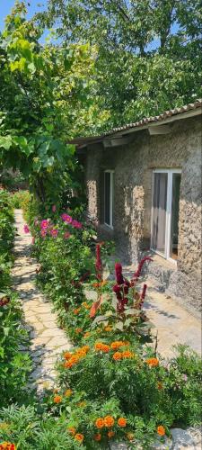Budur Guesthouse in Ijevana