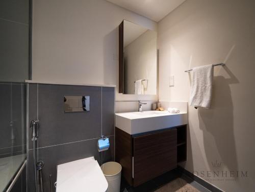 Spacious 1 Bedroom Apartment in Dubai - image 5