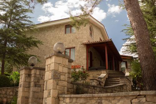 Secret Stone Villa, Tirana (photo 5)