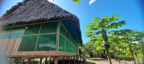 Amazon tucuxi in 印地安那