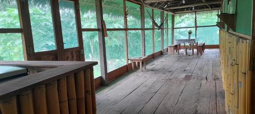 Amazon tucuxi in 印地安那