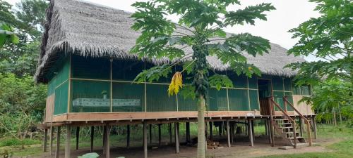 Amazon tucuxi in 印地安那