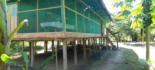 Amazon tucuxi in 印地安那