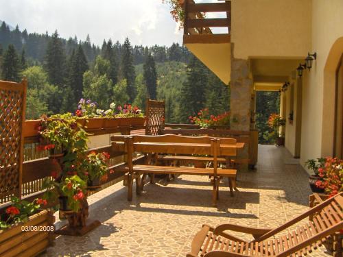 花園, 卡薩安卡精品酒店 (Casa Anca Boutique Hotel) in 蒂米蘇爾德約斯