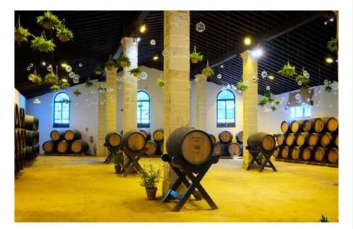 Casa Campiña Jerezana (Casa Campina Jerezana) in La Barca de la Florida