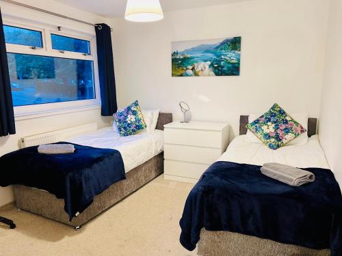 3 Bedroom House 3 Bedroom House