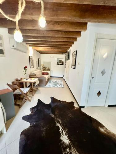 Cocina, Casa ORRI quinto mare e Gaslini in Genoa Waterfront