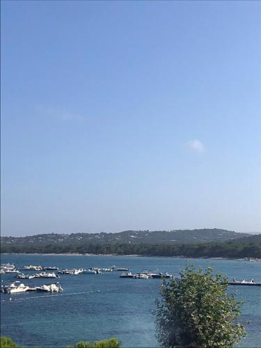 Hôtel du Golfe Pinarello - image 4