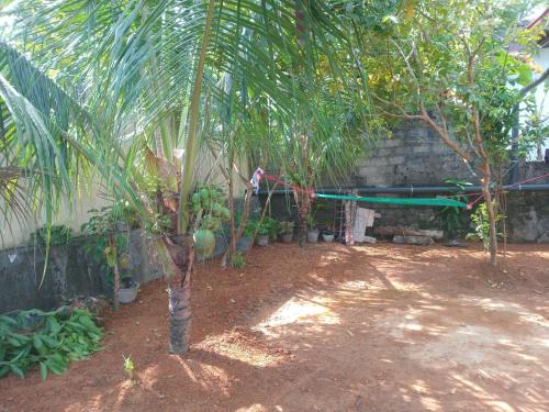 전망, Mihinsa Guest in 코스고다