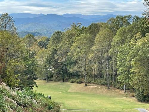 Golfpálya [saját], Cozy Mountain Home Apartment in Etowah (NC)