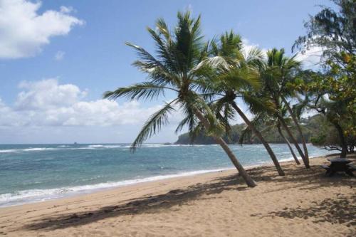 Charmant studio bord de mer in La Trinite