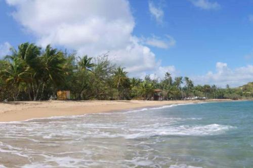 Charmant studio bord de mer in La Trinite