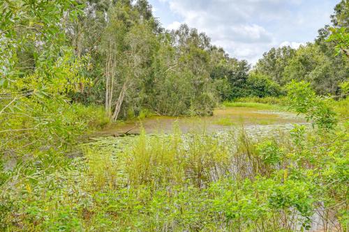 Lutz Home about 14 Mi to Downtown Tampa Lutz Home about 14 Mi to Downtown Tampa