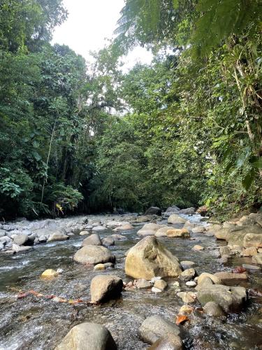 Ti kaz a Krol et Harry Ti kaz a Krol et Harry