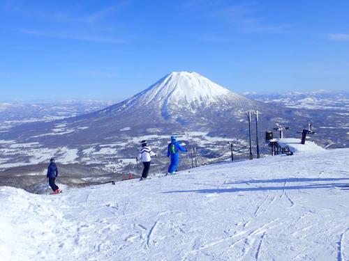 TR Niseko House Room Jungle in 니세코역
