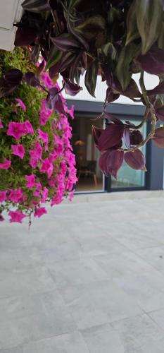 Albayda Garden, Granada (foto 10)