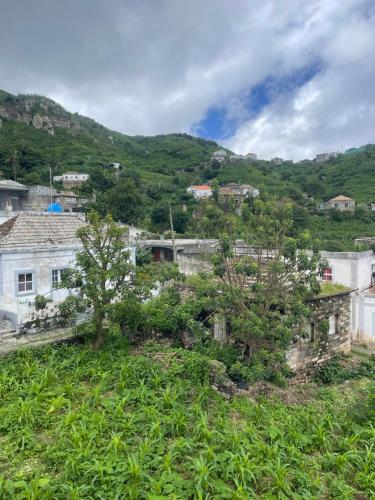 Villa Vicente Casa Soares in วิลา โนวา ซินตรา