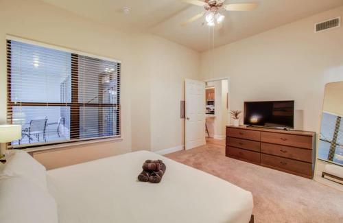 Heart of Houston Pool Gym Amenities Luxury Heart of Houston Pool Gym Amenities Luxury