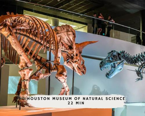 Heart of Houston Pool Gym Amenities Luxury Heart of Houston Pool Gym Amenities Luxury