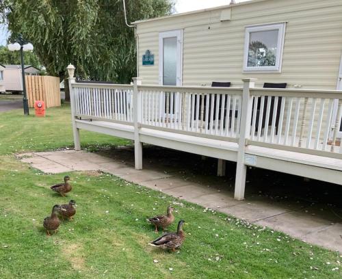 Springs Southview Skegness Springs Southview Skegness