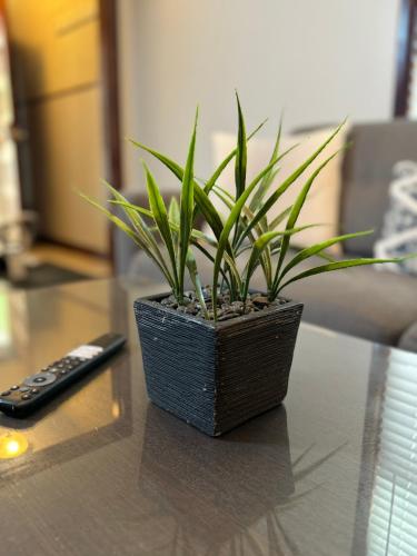The House Hotels-5 Mins from Downtown-W45th1 Lower in Cleveland, USA