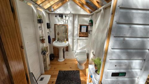 Badeværelse, The Stabbin Cabin on Grant Island, Brantingham Lake - HotTub, Boat, Pet Friendly in Old Forge (NY)