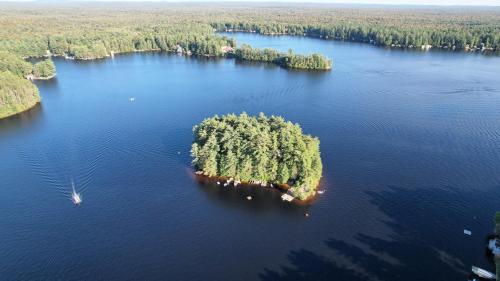 Omgivelser, The Stabbin Cabin on Grant Island, Brantingham Lake - HotTub, Boat, Pet Friendly in Old Forge (NY)