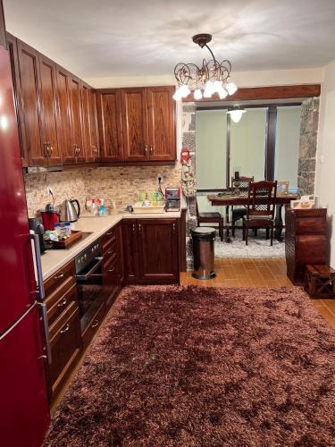 Mountain View - Full Villa in 普利德羅索斯