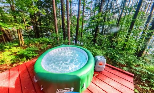 Grant Island Waterfront Cottage Brantingham Lk - HotTub, Pontoon Boat, Pets in Glenfield, USA