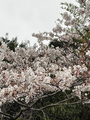 一棟貸し農家民宿ひなた, Kawaramachi (foto 10)