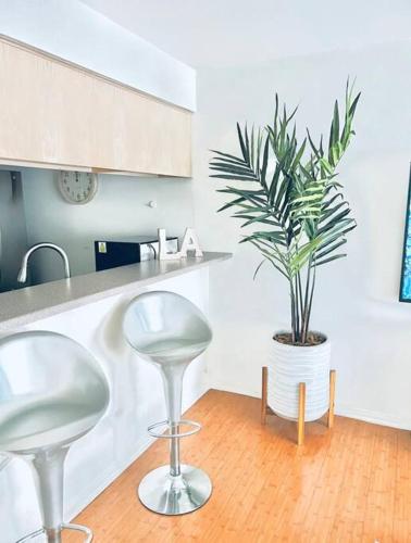 Sunny Santa Monica Retreat One Bedroom Apartment in Los Angeles, USA