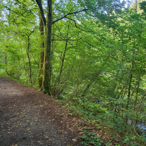 ทัศนียภาพภายนอกโรงแรม, Bielsteiner Heideglück (Bielsteiner Heidegluck) in วีห์ล