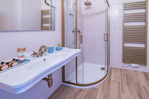 淋浴, Penzion Benátky (Penzion Benatky) in 波莱西