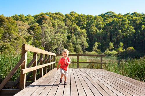 BIG4 Yarra Valley Park Lane Holiday Park