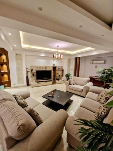 Contemporary Urban Retreat in Zamalek
