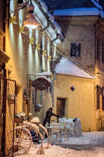 Casa Rozelor - image 10