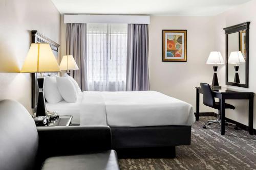 Best Western - Saluki Inn - image 6