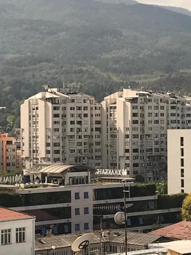 Parrot Building Guest House, Skopje (Foto 3)