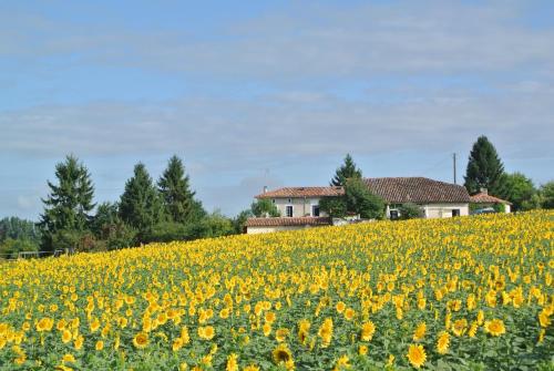 Chez Sarrazin - Location saisonnière - Brossac