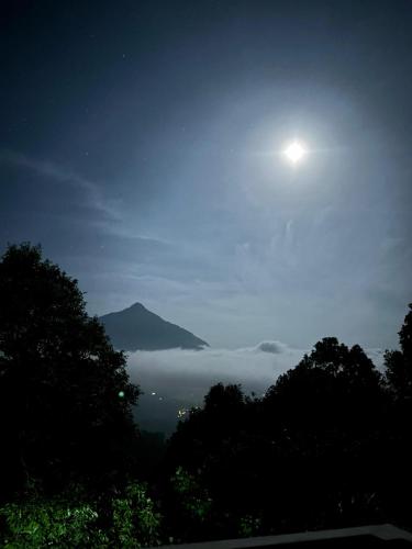 Kilátás, Willow Nest in Ellackal