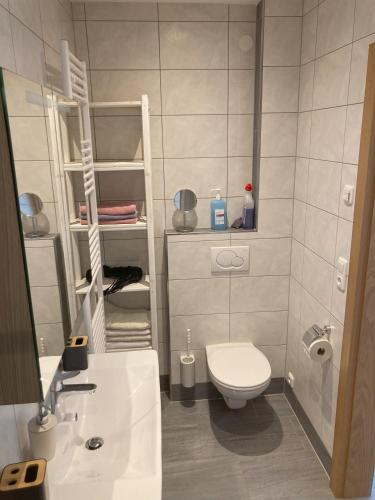 Ferienwohnung Brandtner Leogang - image 4