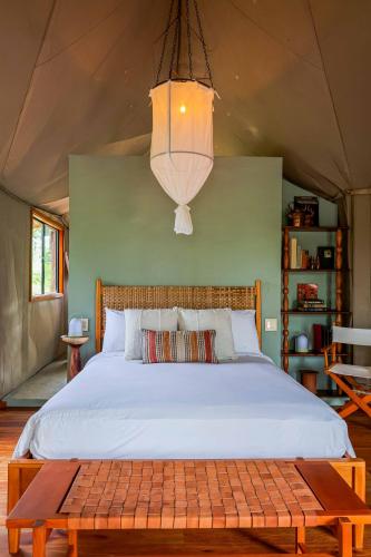 Sleeping Giant Rainforest Lodge