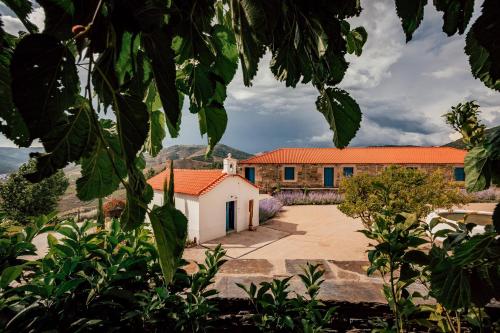 Ventozelo Hotel & Quinta - image 2