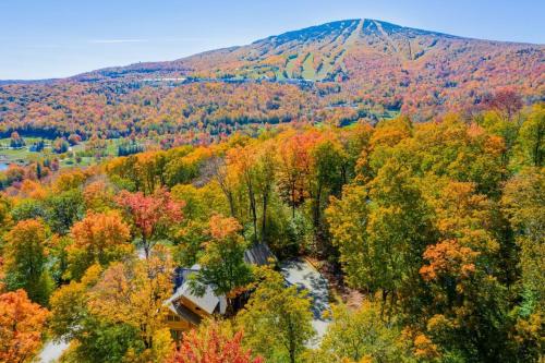 Beechwood Escape in Stratton Valley, USA