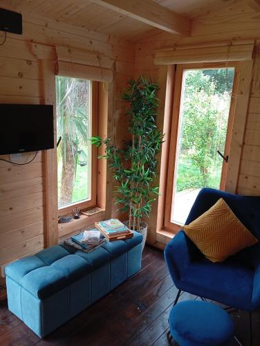 Adventure Cabin Retreat 'The CabAnne' No Shower, Dublín (foto 8)