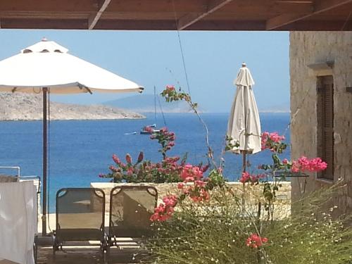 Cohili Villa - image 11
