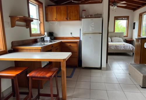 Dove Escapes - One bedroom beach front upper Cabana in Caribbean Way