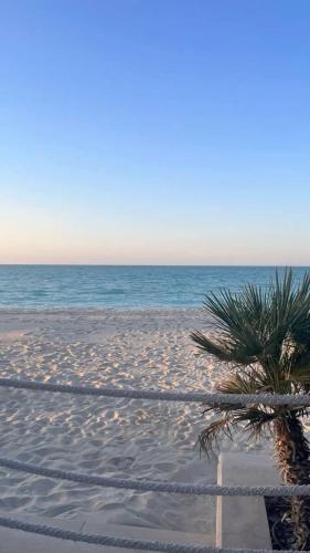 Beach, Lunar Beach Hostel in Abu Dhabi